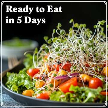 Seedboy Organic Sprouting Seeds - Salad Blend Variety- Non-GMO, USA Grown Microgreens Mix - Alfalfa, Broccoli, Radish, Mung Bean, Lentil - Makes 8 Quarts of Sprouts, 24 Servings (8 oz) (Salad Blend)