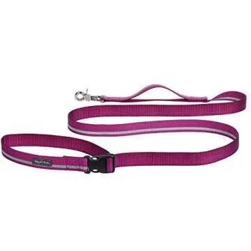 West Paw Strolls Buckle Dog Leash with Comfort Grip, Made in USA, Fuchsia Reflective, Small