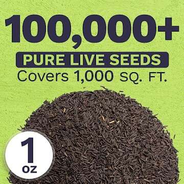 Black Eyed Susan Seeds – 100,000 Non-GMO Wildflower Seeds