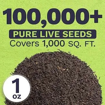 Black Eyed Susan Seeds – 100,000 Non-GMO Wildflower Seeds