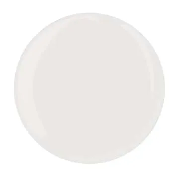 Young Nails Acrylic Core Powder - Self-Leveling Acrylic Nail Powder, Clear Nude Pink White Acrylic Powder for Nail Extenstion, Professional Grade, Superior Adhesion, Color - Natural, 45g