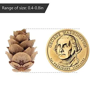 200 Natural Mini Pine Cones for Festive Crafting