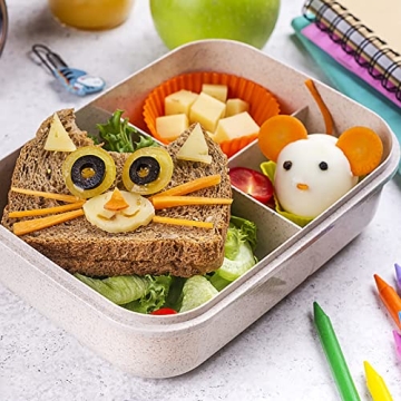 DGYJJZ 50Pcs Silicone Lunch Box Dividers with Food Picks