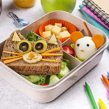 DGYJJZ 50Pcs Silicone Lunch Box Dividers with Food Picks