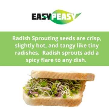 Radish Sprouting Seeds | Non GMO | Grown in USA | (1 Pound)