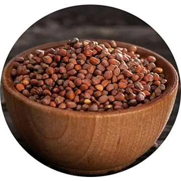 Radish Sprouting Seeds | Non GMO | Grown in USA | (1 Pound)