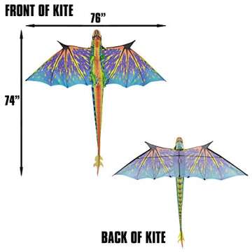 Exceptional WindNSun Blue Dragon Kite for All Ages