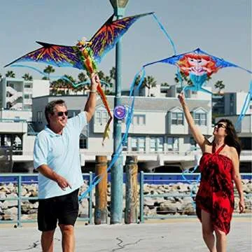 Exceptional WindNSun Blue Dragon Kite for All Ages