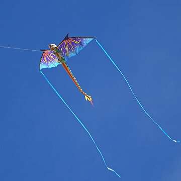 Exceptional WindNSun Blue Dragon Kite for All Ages