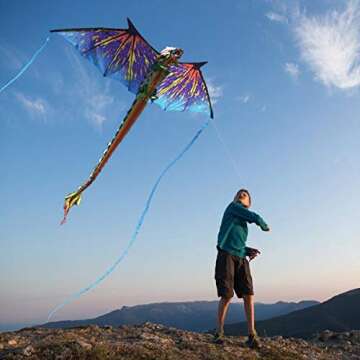 Exceptional WindNSun Blue Dragon Kite for All Ages