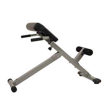 Compact Sunny Health & Fitness Roman Chair for Home Workouts