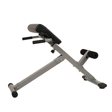 Compact Sunny Health & Fitness Roman Chair for Home Workouts