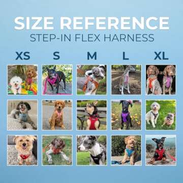 Best Pet Supplies Voyager Adjustable Dog Vest Harness Breathable No Pull Harness for Small, Medium, Large Dogs, Heavy Duty Harness for Walking, Jogging, Easy Step-in, Reflective Stripes - (Red), M