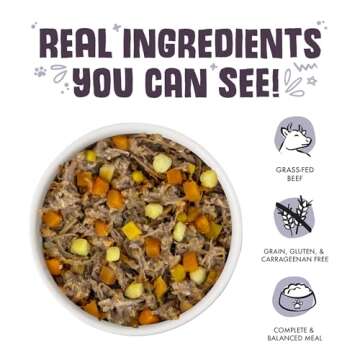 Weruva Classic Dog Food, Steak Frites with Beef, Pumpkin & Sweet Potato in Gravy, 14oz Can (Pack of 12)