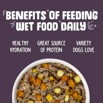 Weruva Classic Dog Food, Steak Frites with Beef, Pumpkin & Sweet Potato in Gravy, 14oz Can (Pack of 12)