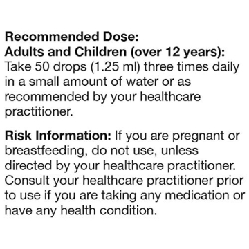 UNDA Gemmo Therapy | Ilex Aquifolium 4.2 fl. oz. Natural Remedy