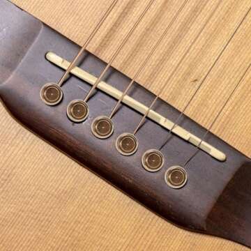 6pcs Brass Acoustic Guitar Bridge Pins with Accessories