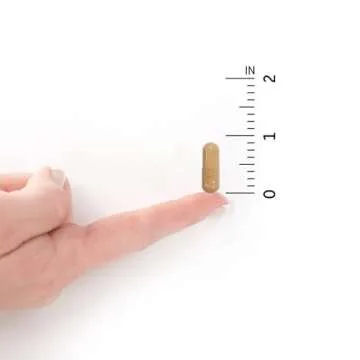 Garden of Life Ultimate Care Probiotics for Gut Health