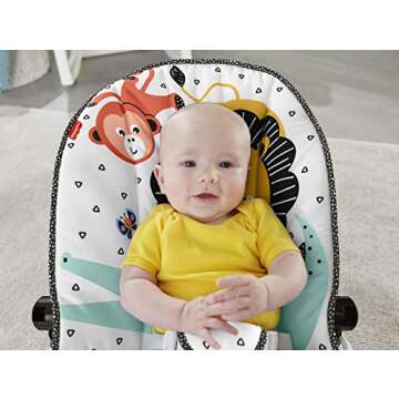 Fisher-Price Deluxe Bouncer: Signature Style