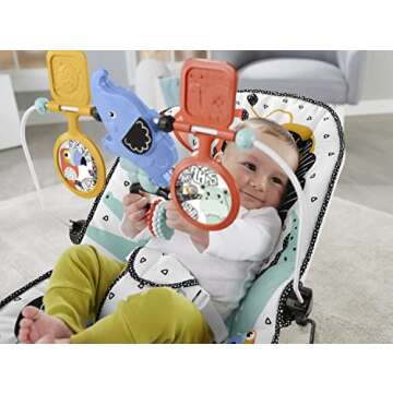 Fisher-Price Deluxe Bouncer: Signature Style