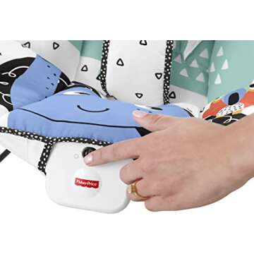 Fisher-Price Deluxe Bouncer: Signature Style