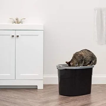 Large Cat Litter Box with Litter Catching Lid
