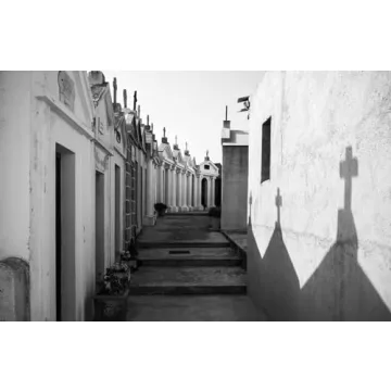 Julian Lennon's Life's Fragile Moments Photography Book