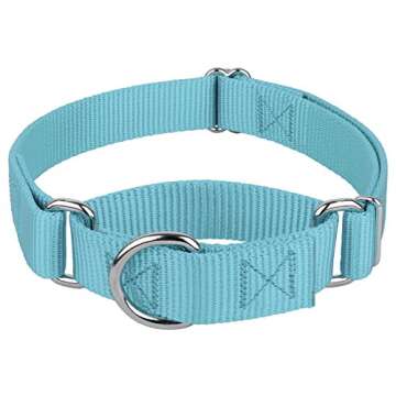 Country Brook Petz Martingale Dog Collar - Heavy-Duty Training Collar with No Buckle - Service Dog Collar for All Pups - Vibrant, Colorful Collection (Ocean Blue, 1 Inch, Medium)