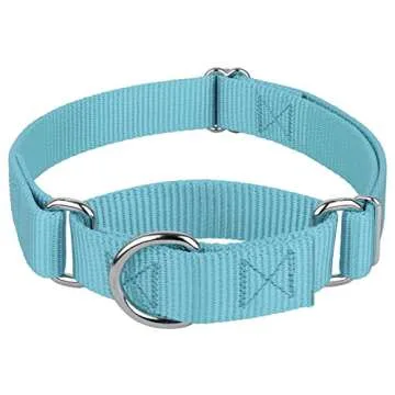 Country Brook Petz Martingale Dog Collar - Heavy-Duty Training Collar with No Buckle - Service Dog Collar for All Pups - Vibrant, Colorful Collection (Ocean Blue, 1 Inch, Medium)