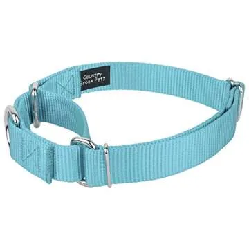 Country Brook Petz Martingale Dog Collar - Heavy-Duty Training Collar with No Buckle - Service Dog Collar for All Pups - Vibrant, Colorful Collection (Ocean Blue, 1 Inch, Medium)
