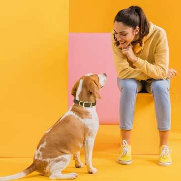 Viper Biothane Heavy Duty Waterproof Dog Collar Strong Coated Nylon Webbing w/Solid Brass Hardware Odor-Proof Easy to Clean High Performance Fits Small Medium or Large Dogs, Coyote Brown