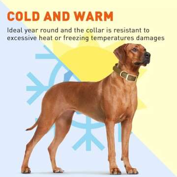 Viper Biothane Heavy Duty Waterproof Dog Collar Strong Coated Nylon Webbing w/Solid Brass Hardware Odor-Proof Easy to Clean High Performance Fits Small Medium or Large Dogs, Coyote Brown