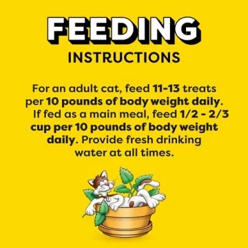 Temptations Cat Treats Crunchy & Soft Blissful Flavor