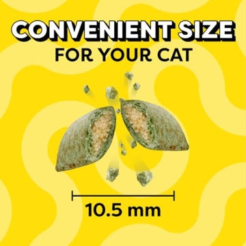 Temptations Cat Treats Crunchy & Soft Blissful Flavor