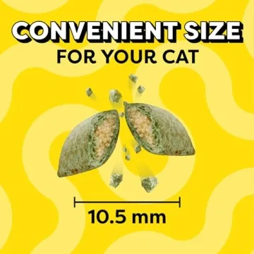 Temptations Cat Treats Crunchy & Soft Blissful Flavor