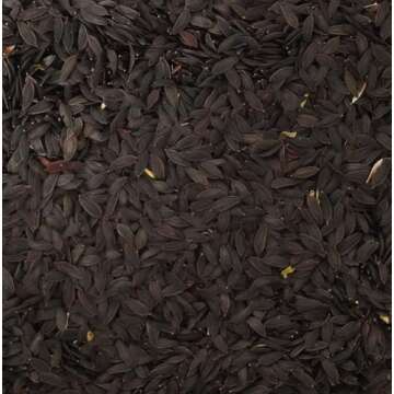 Palm Beach Medicinal Herbs - Wild Lettuce (Lactuca virosa) - Packet of 50 Seeds