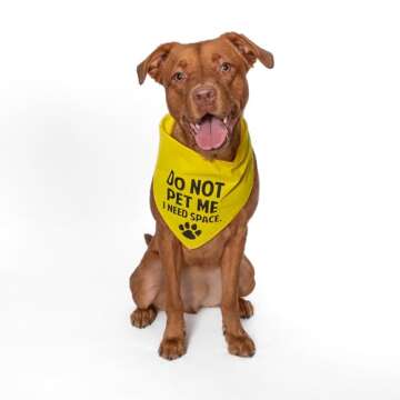 DO NOT PET ME Dog Bandana for Medium Large Dogs