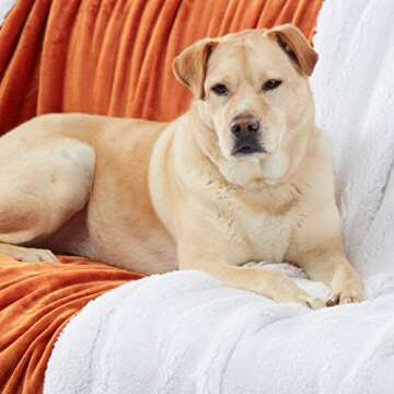 Genteele Sherpa Throw Blanket Super Soft Reversible Ultra Luxurious Plush Blanket, 60 x 70 inches, Burnt Orange/White