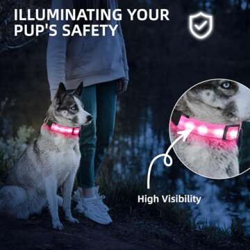 PetIsay Light up Dog Collar - High Visibility & Durable Nylon Material - USB C Rechargeable & Waterp...