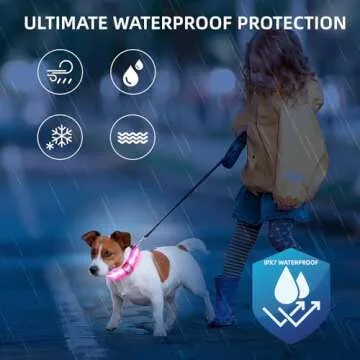 PetIsay Light up Dog Collar - High Visibility & Durable Nylon Material - USB C Rechargeable & Waterproof LED Dog Collar for Night Walking,Lighted Dog Collar Glow in The Dark Flashing(Pink,L)