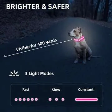 PetIsay Light up Dog Collar - High Visibility & Durable Nylon Material - USB C Rechargeable & Waterproof LED Dog Collar for Night Walking,Lighted Dog Collar Glow in The Dark Flashing(Pink,L)