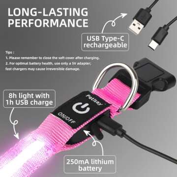 PetIsay Light up Dog Collar - High Visibility & Durable Nylon Material - USB C Rechargeable & Waterproof LED Dog Collar for Night Walking,Lighted Dog Collar Glow in The Dark Flashing(Pink,L)