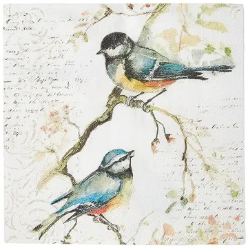 Elegant Boston International Cocktail Napkins for All Occasions