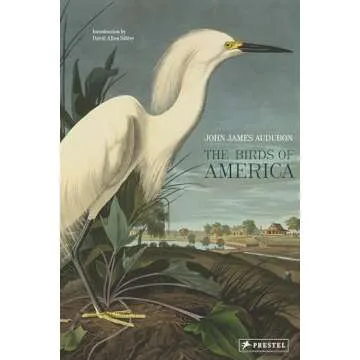The Birds of America: An Exquisite Illustrated Collection