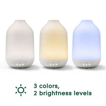 Aromatherapy Diffuser with Essential Oil - Bergamot & Lemongrass