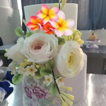 MINFEIDMS Gumpaste Flower Silicone Veining Mold Plumeria Fondant Mold For Cake Decorating Cupcake Topper Candy Chocolate Gum Paste Polymer Clay