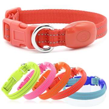 Light Up Dog Collar for Small Dogs - Rechargeable LED Dog Collar Adjustable Reflective Puppy Collar ...