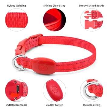 Light Up Dog Collar for Small Dogs - Rechargeable LED Dog Collar Adjustable Reflective Puppy Collar LED Cat Collar, Glowing Safety Dog Lights for Night Walking (XS, Red)