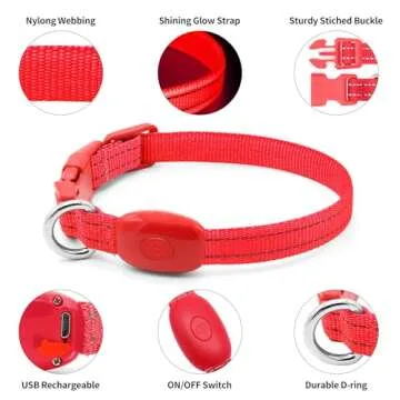 Light Up Dog Collar for Small Dogs - Rechargeable LED Dog Collar Adjustable Reflective Puppy Collar LED Cat Collar, Glowing Safety Dog Lights for Night Walking (XS, Red)