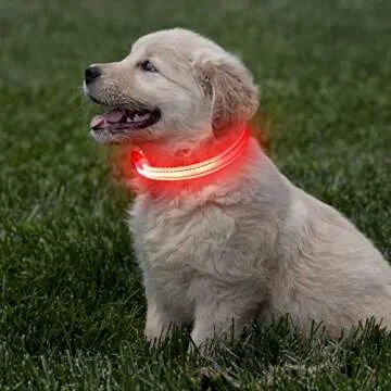 Light Up Dog Collar for Small Dogs - Rechargeable LED Dog Collar Adjustable Reflective Puppy Collar LED Cat Collar, Glowing Safety Dog Lights for Night Walking (XS, Red)